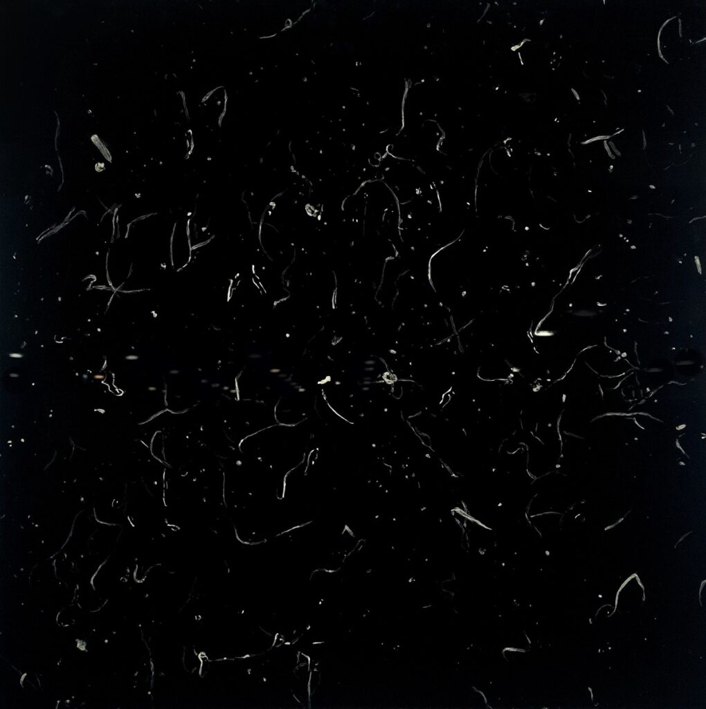 ANNA KOŁACKA – „Nano 01”