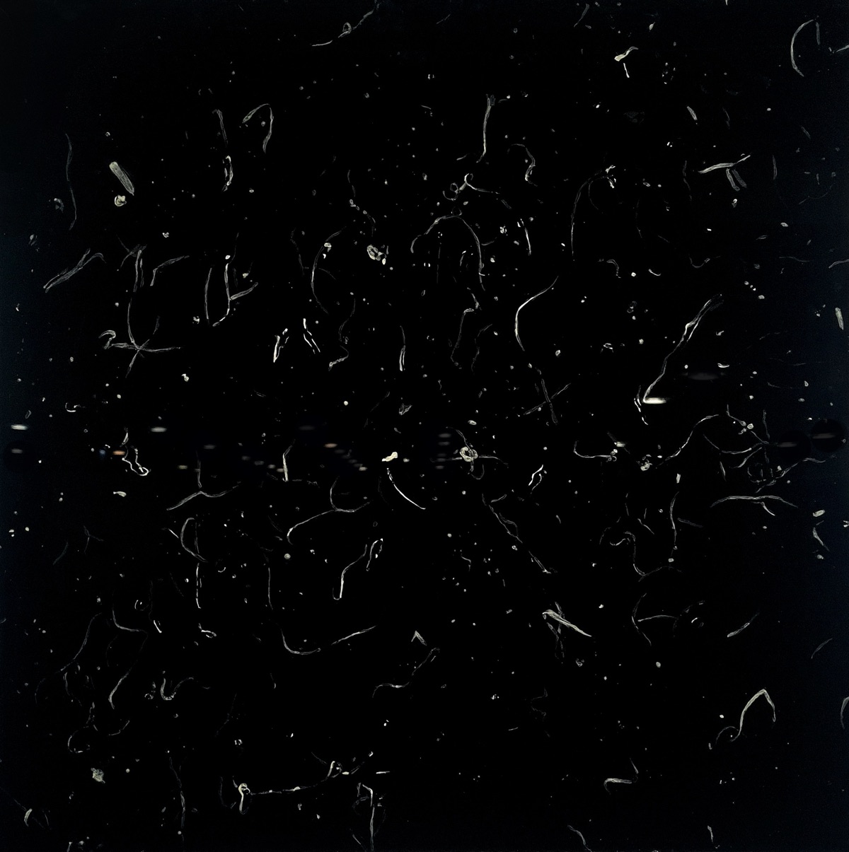 ANNA KOŁACKA – „Nano 01”