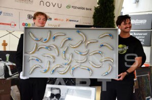 Wynik XX edycji Tennis Art 2026